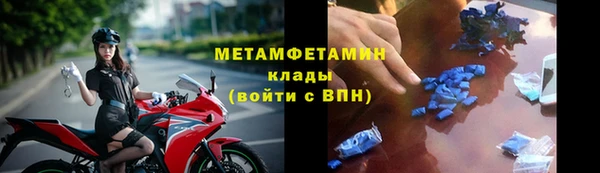 индика Белокуриха