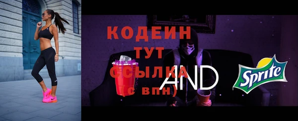 индика Белокуриха