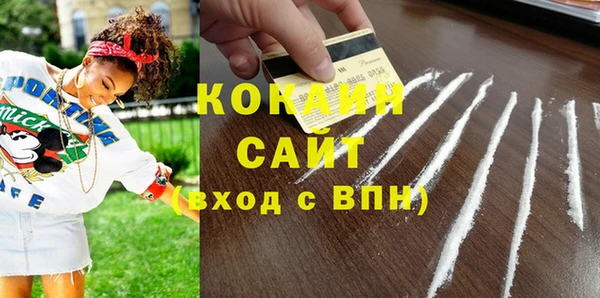 индика Белокуриха