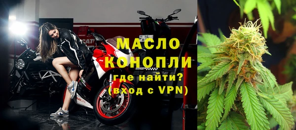 индика Белокуриха