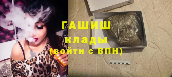 индика Белокуриха