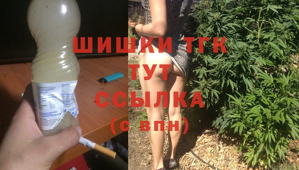 индика Белокуриха