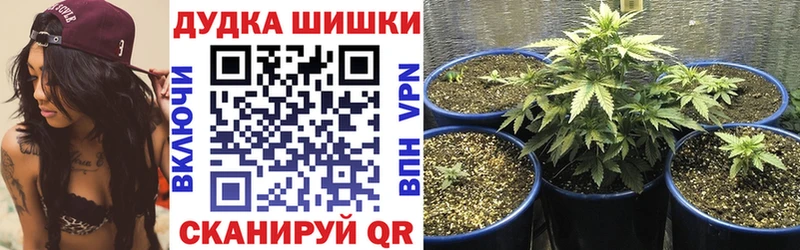 Бошки Шишки AK-47 дарнет шоп Нижний Новгород